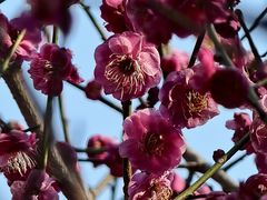 -梁鸿国家湿地公园