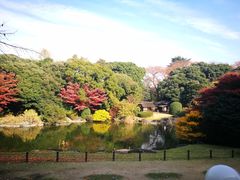 -三鹰之森吉卜力美术馆