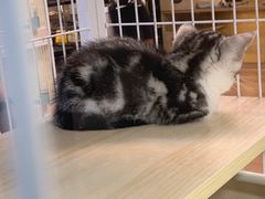 -三旗百汇商品城