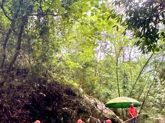 -清泉湾生态旅游度假区