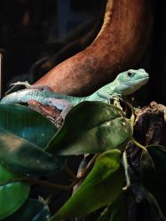 -Zoolung Zoolung动物主题公园(海信广场店)