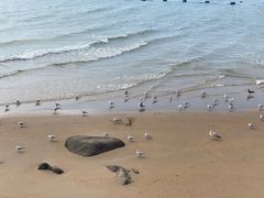 -老虎石海上公园