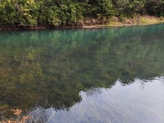 -贡湖湾湿地公园