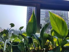 景观位-北京目的地酒吧