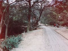 -雨花胜境