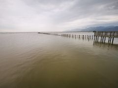 -哈素海