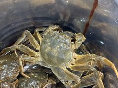 -仙螺岛海鲜自助餐厅(总店)