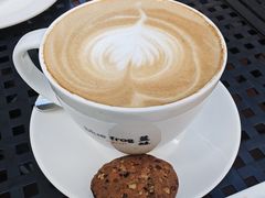 -blue frog蓝蛙(长泰广场店)