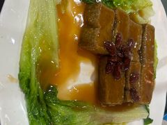 -东鸽皇(奥园·中环广场店)