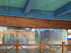 -海合安青岛极地海洋公园