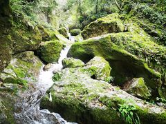 -青城山