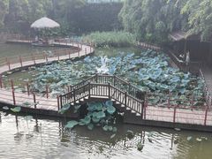-珠海圆明新园