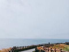 -涉地可支