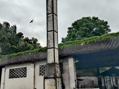 -乌镇东栅景区
