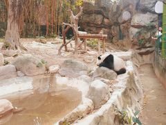 -广州长隆欢乐世界