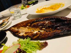 -一棵树·意大利西餐厅One Tree(新城店)