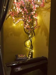 -琦品高端美容SPA私佳美场