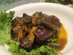 东坡肘子-金百万烤鸭店(马甸店)