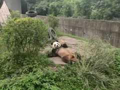 -仙芝竹尖生态园旅游景区