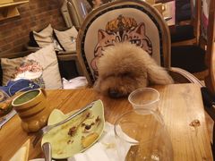 -more than meow吴止猫主题餐厅(承德 中船汇店)