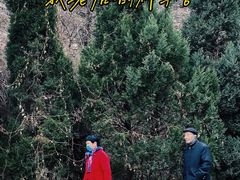 -少华山国家森林公园