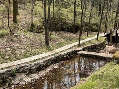 -洛阳白云山景区
