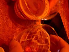 -Helens海伦司小酒馆(坡子街店)