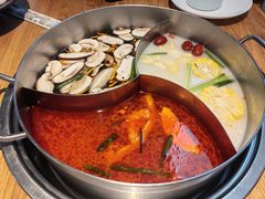 -青瓷火锅料理(西单大悦城店)