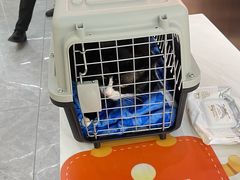 -pd派德宠物中心医院24H急重症·眼科中心·血液透析中心(嵩山北路店)