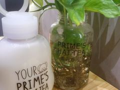 现打泰奶撞姜-素匠泰茶(三里屯SOHO工体奶茶店)