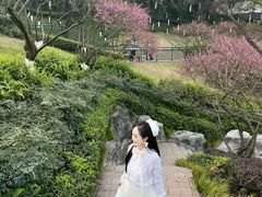 -重庆彩云湖湿地公园