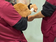 -宠颐生中康贝怡动物医院