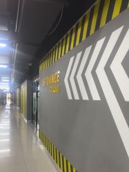 -欲非舞蹈