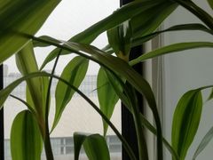 -旺顺阁海鲜广场(亚运村店)
