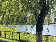 -山东大学(威海校区)