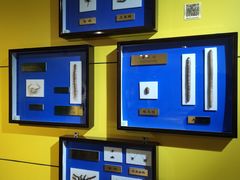 -上海昆虫博物馆