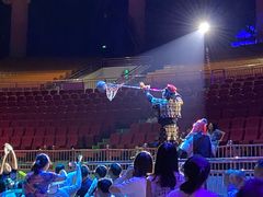 -灵玲国际马戏城
