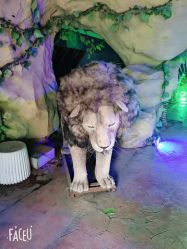 点击看大图 -宝燕乐园(闵行旗舰店)