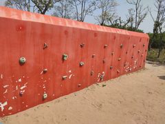 -春花秋色城市公园