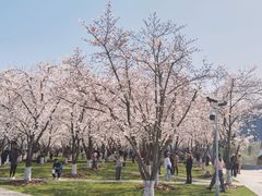 -龙美术馆(西岸馆)