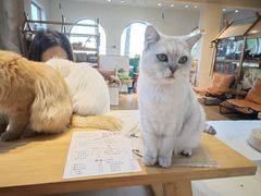 -小时光咖啡馆(开森度假森林店)