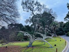 -墨尔本皇家植物园