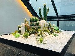 -大树餐厅(红旗街万达店)