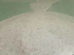 -蓝珊甄选海鲜自助·火锅大排档(近阿那亚店)