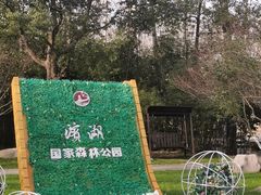 -合肥滨湖国家森林公园