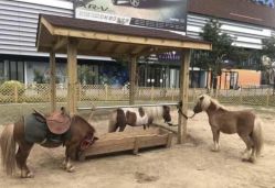 -萌宠亲子动物乐园(槐房万达店)