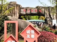 -合肥野生动物园