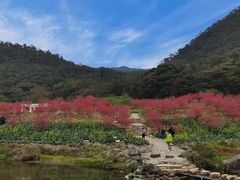 -广州市石门国家森林公园
