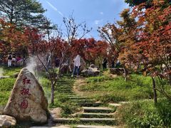 -广州市帽峰山景区