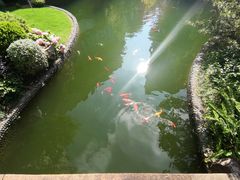 -上海虹桥宾馆味翠餐厅